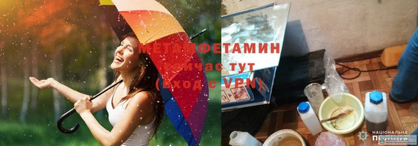 шишки Горнозаводск