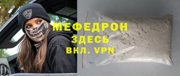 индика Вяземский