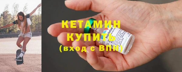 индика Вяземский