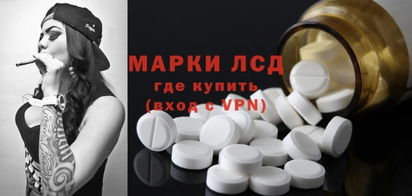 шишки Горнозаводск