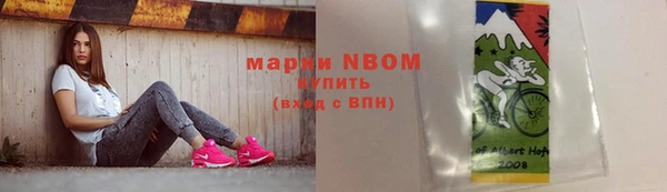 шишки Горнозаводск