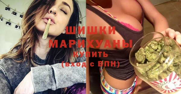 шишки Горнозаводск