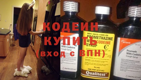 индика Вяземский