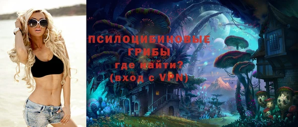 шишки Горнозаводск