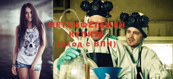индика Вяземский