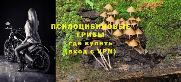 индика Вяземский