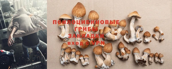 экстази Горняк