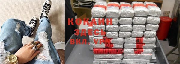 шишки Горнозаводск