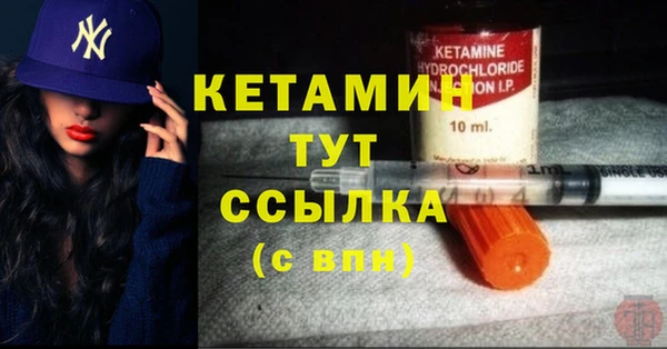 индика Вяземский