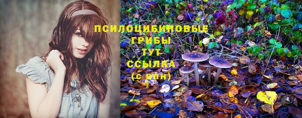 спайс Горно-Алтайск